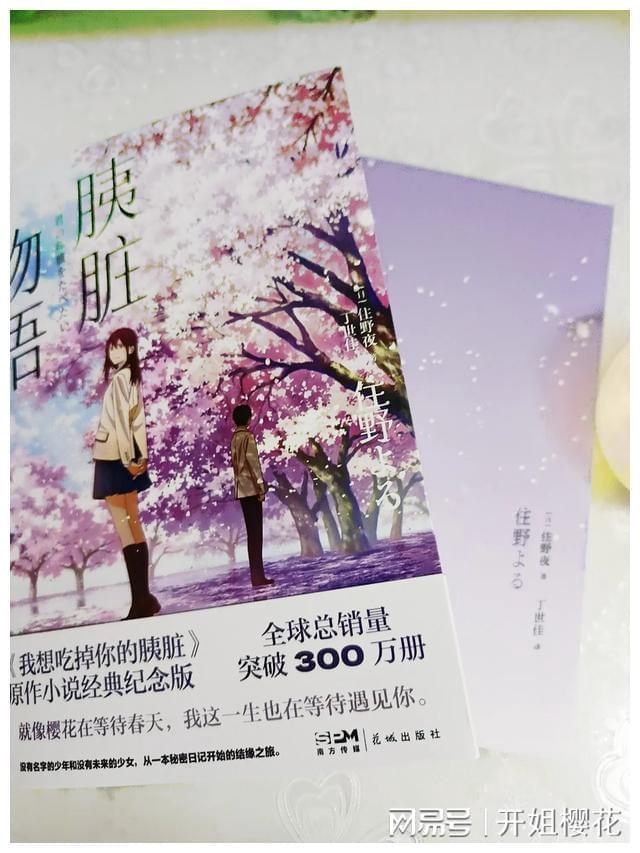 全民剧本大师内置菜单