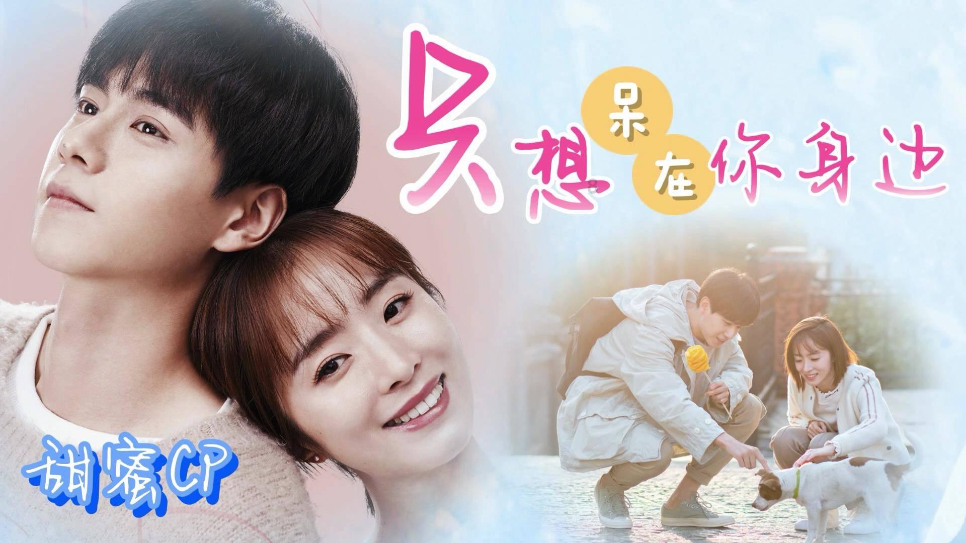 五彩鹦鹉救援