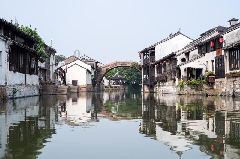 动物帮帮忙保卫家园