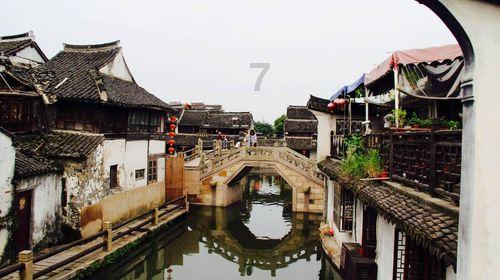 青海一摄影师近距离拍到野牦牛