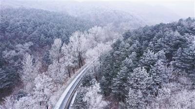 网红挑战“超辣”火鸡面，嘴巴都吃肿了，网友看后：差点信了！